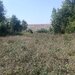 Teleorman Vand teren cu casa inceputa